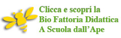 A scuola dell'Ape